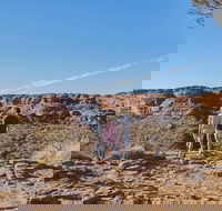 The Amazing Kings Canyon 4-Hours Walking Tour and Hike - Accommodation Newcastle