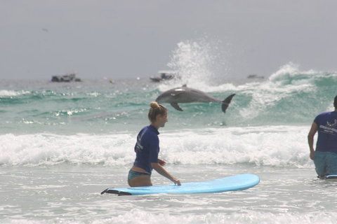 10-Day Surf Adventure From Sydney To Brisbane Including Coffs Harbour, Byron Bay And Gold Coast - Accommodation Newcastle 0