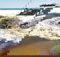 Full-Day Moreton Island 4x4 Sightseeing Tour - Accommodation Newcastle