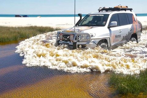 Full-Day Moreton Island 4x4 Sightseeing Tour - Accommodation Newcastle 0