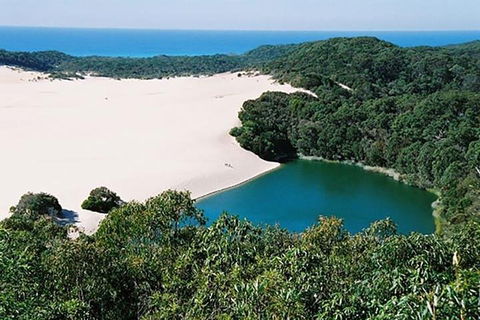 Full-Day Moreton Island 4x4 Sightseeing Tour - Accommodation Newcastle 5