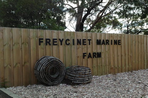 Active Day Tour One-Way From Launceston To Hobart Via Wineglass Bay - Accommodation Newcastle 3