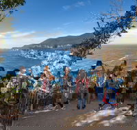 Port Arthur and Tassie Devils Active Day Tour from Hobart - Accommodation Newcastle