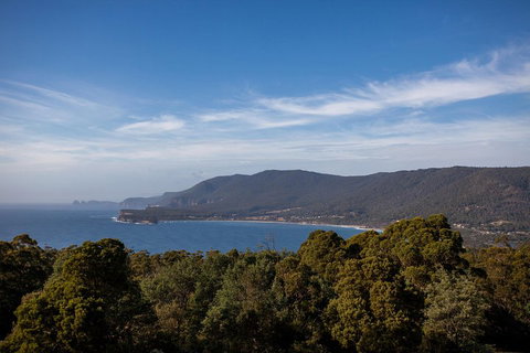 Port Arthur And Tassie Devils Active Day Tour From Hobart - Accommodation Newcastle 5