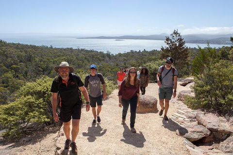 3-Day Tasmania Combo: Launceston To Hobart Active Tour Including Cradle Mountain, Freycinet National Park And Port Arthur - Accommodation Newcastle 5