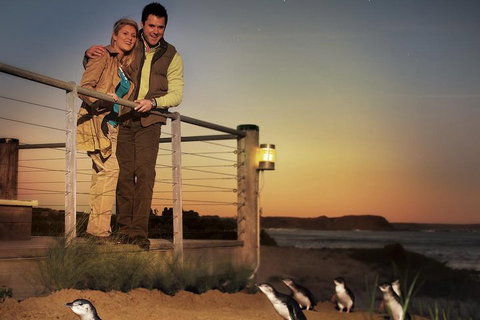 The Ultimate Melbourne Attractions Pass - Accommodation Newcastle 3