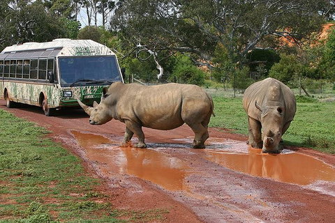 The Ultimate Melbourne Attractions Pass - Accommodation Newcastle 4