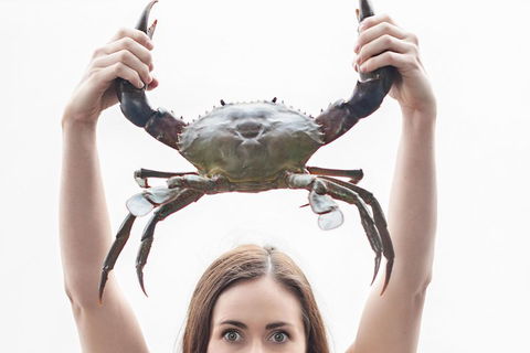 The Ultimate Gold Coast Attractions Pass - Accommodation Newcastle 0