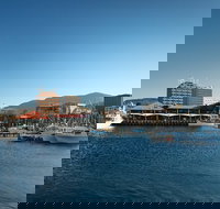 Hobart City Sightseeing Tour including MONA Admission - Accommodation Newcastle