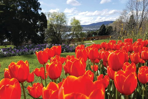Hobart City Sightseeing Tour Including MONA Admission - Accommodation Newcastle 4
