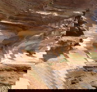 Hobart Minibus Full-Day Private Tour - Accommodation Newcastle