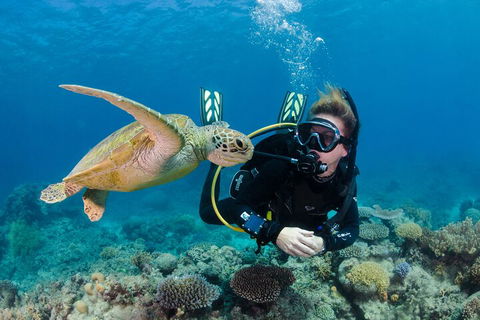 Silverswift Outer Great Barrier Reef Dive And Snorkel Cruise From Cairns - Accommodation Newcastle 2