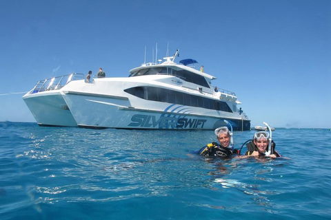 Silverswift Outer Great Barrier Reef Dive And Snorkel Cruise From Cairns - Accommodation Newcastle 4