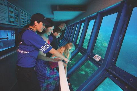 Great Barrier Reef Adventure From Cairns - Accommodation Newcastle 0
