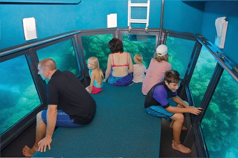 Great Barrier Reef Adventure From Cairns - Accommodation Newcastle 1