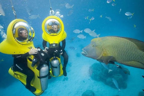 Great Barrier Reef Adventure From Cairns - Accommodation Newcastle 2