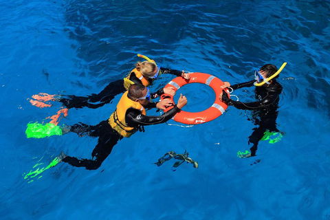 Great Barrier Reef Adventure From Cairns - Accommodation Newcastle 3