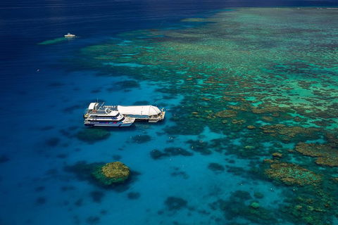 Great Barrier Reef Adventure From Cairns - Accommodation Newcastle 4