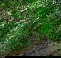 Green Island Eco Adventure from Cairns - Accommodation Newcastle