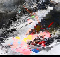Barron Gorge National Park Half-Day White Water Rafting from Cairns or Port Douglas - Accommodation Newcastle