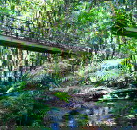 Double Pack-Ancient Rainforest and Waterfalls - Accommodation Newcastle