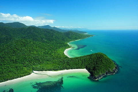 Double Pack-Ancient Rainforest And Waterfalls! - Accommodation Newcastle 1