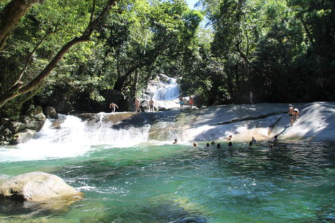 Double Pack-Ancient Rainforest And Waterfalls! - Accommodation Newcastle 2