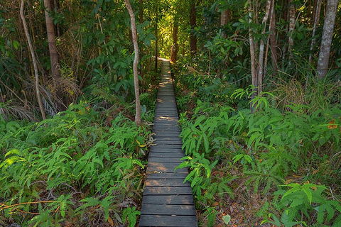 One Day Litchfield Park Adventures - Accommodation Newcastle 4