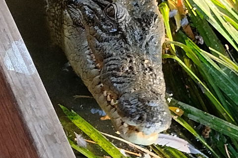 Litchfield Park Adventures And Jumping Crocodile Cruise + Butterfly Farm - Accommodation Newcastle 1