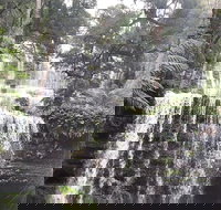 6-Day Hearty Tasmania Tour Tasmania in a Circle - Accommodation Newcastle