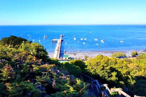 Mornington Peninsula Sightseeing Tour For 2-6 Guests. - Accommodation Newcastle 1