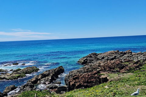 Private Custom Byron Bay Day Out - Accommodation Newcastle 4