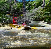 Yarra River Half-Day Rafting Experience - Accommodation Newcastle