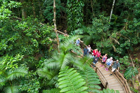 2 Day Daintree Rainforest, Cape Tribulation And Outback Chillagoe Tour - Accommodation Newcastle 3
