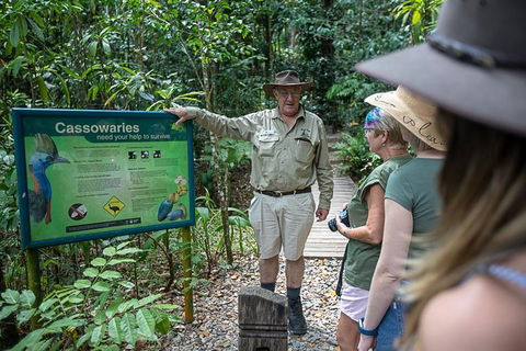 2 Day Daintree Rainforest, Cape Tribulation And Outback Chillagoe Tour - Accommodation Newcastle 5