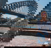 Sydney Private Tours by Locals 100 Personalized See the City Unscripted - Accommodation Newcastle