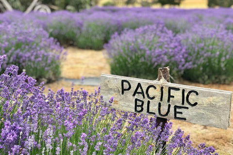 Kangaroo Island Food And Wine Hop-on Hop-off Tour - Accommodation Newcastle 4