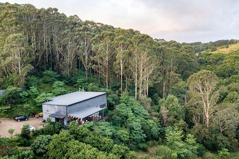 Full-Day Tour To Byron Bay Best Food And Drink Spots - Accommodation Newcastle 3