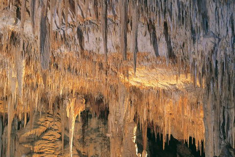 Margaret River, Caves, Wine And Cape Leeuwin Lighthouse Tour From Perth - Accommodation Newcastle 3