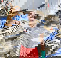 Pinnacles Desert Koalas and Sandboarding 4WD Day Tour from Perth - Accommodation Newcastle