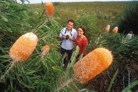 Best Of Perth Wildflower Season Day Trip - Accommodation Newcastle 0