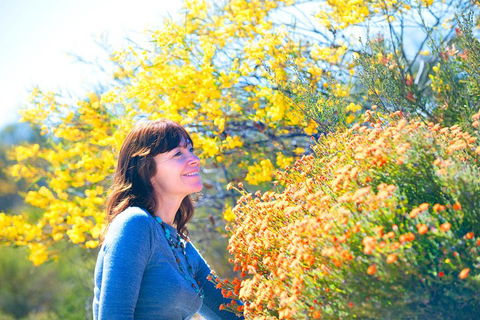 Best Of Perth Wildflower Season Day Trip - Accommodation Newcastle 2