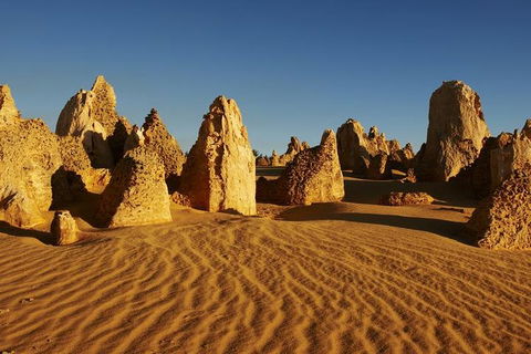Full Day Pinnacle Desert Explorer From Perth Including Hillarys And Lancelin Sandboarding - Accommodation Newcastle 3