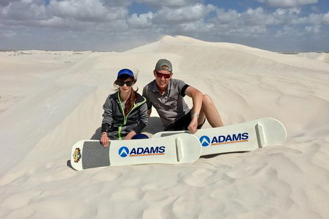 Full Day Pinnacle Desert Explorer From Perth Including Hillarys And Lancelin Sandboarding - Accommodation Newcastle 4