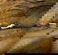 2-Day Wave Rock York Wildflowers  Aboriginal Experience - Accommodation Newcastle