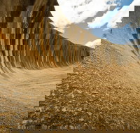 Wave Rock York Wildflowers and Aboriginal Cultural Day Tour from Perth - Accommodation Newcastle