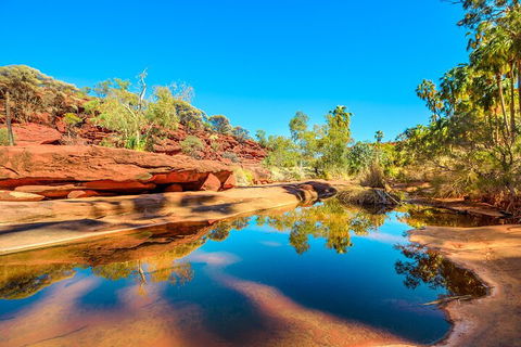 7-Day Guided Tour Of Alice Springs With Accommodation Included - Accommodation Newcastle 1