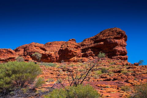 7-Day Guided Tour Of Alice Springs With Accommodation Included - Accommodation Newcastle 4