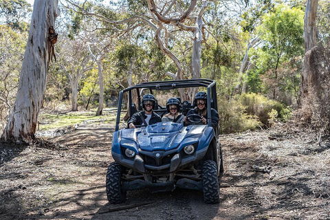 Small-Group Buggy Tour At Little Sahara With Guide - Accommodation Newcastle 0