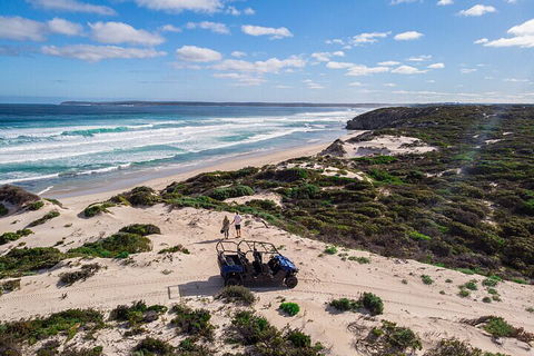 Small-Group Buggy Tour At Little Sahara With Guide - Accommodation Newcastle 1